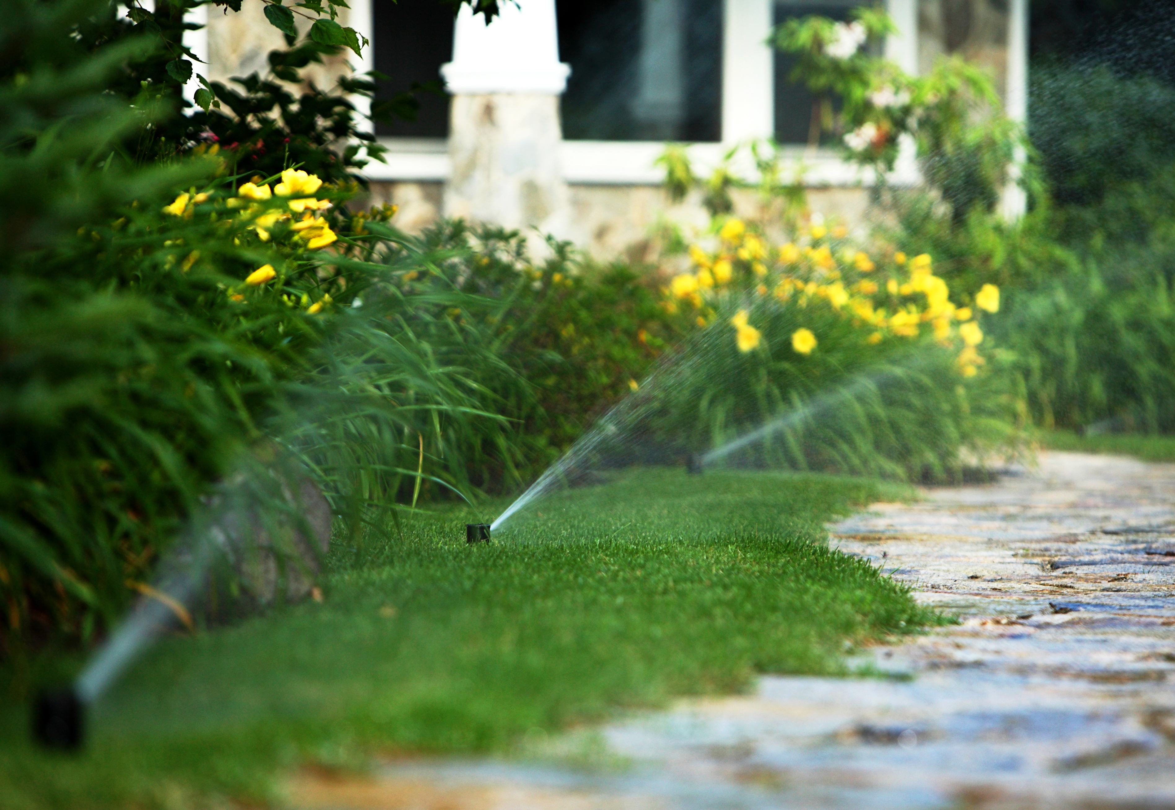 Expert Residential Irrigation Services in My Area