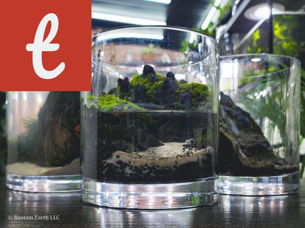 How to Build the Smallest Paludarium