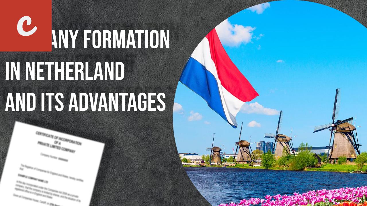 Common Pitfalls to Avoid in Company Formation in the Netherlands