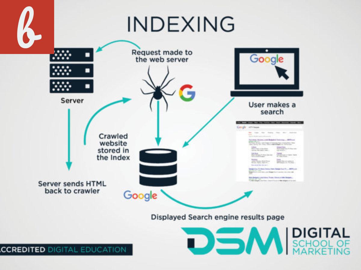 The Importance of Website Indexing for SEO
