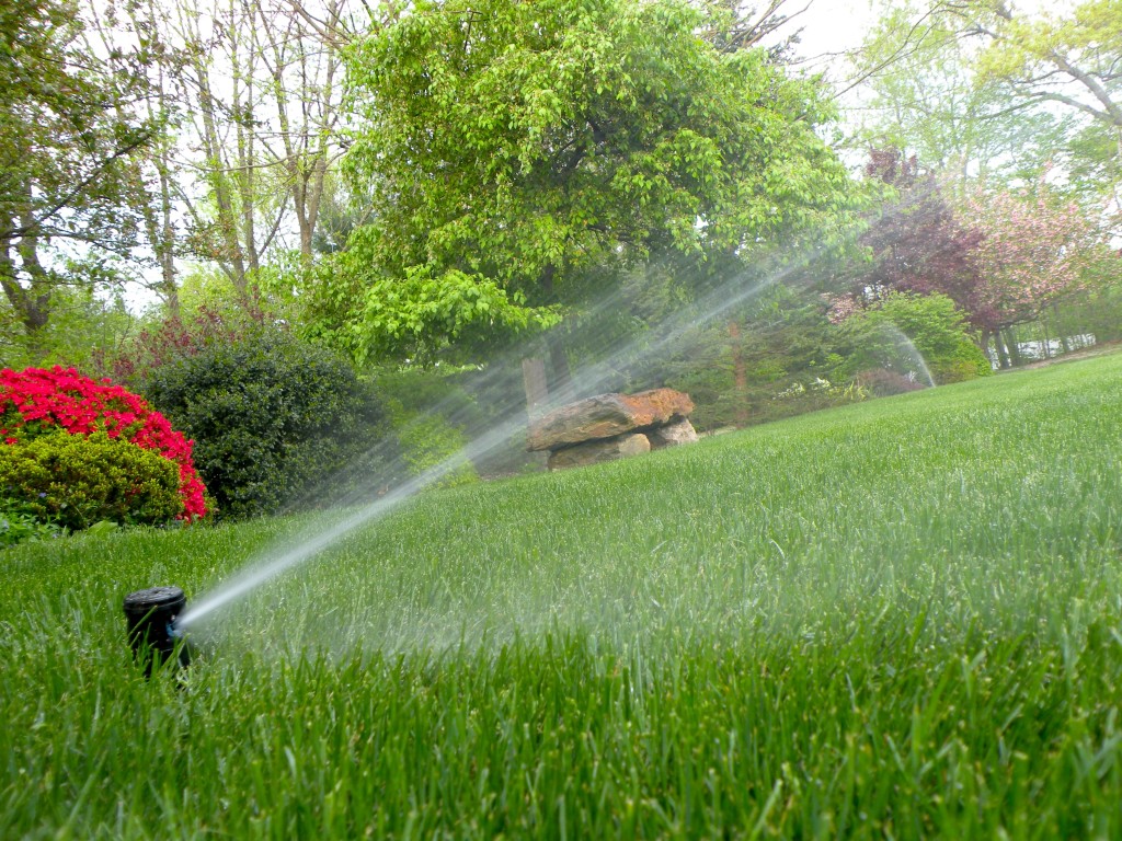 Find the Best Sprinkler Irrigation Companies Near You