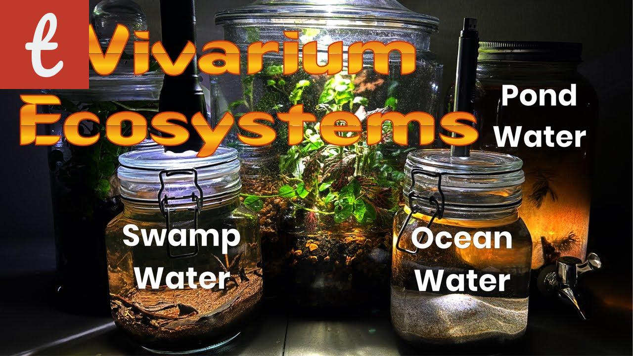 Tiny Ecosystems: Unveiling the Secrets of the Smallest Paludarium