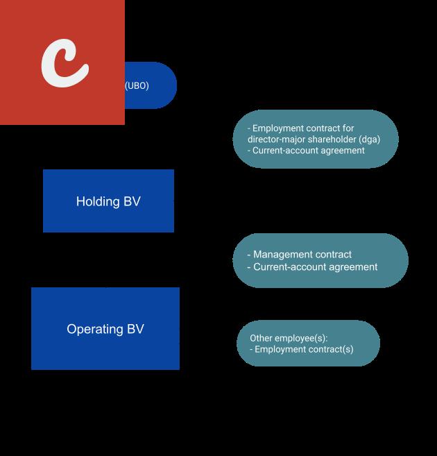 Tips for Choosing the Right Business Structure in the Netherlands