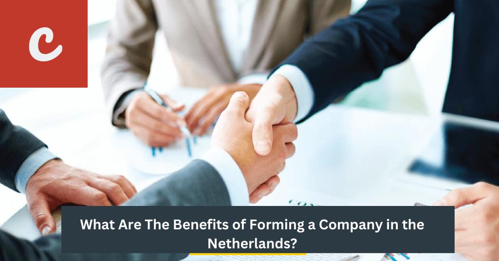 Key Benefits of Establishing a Company in the Netherlands