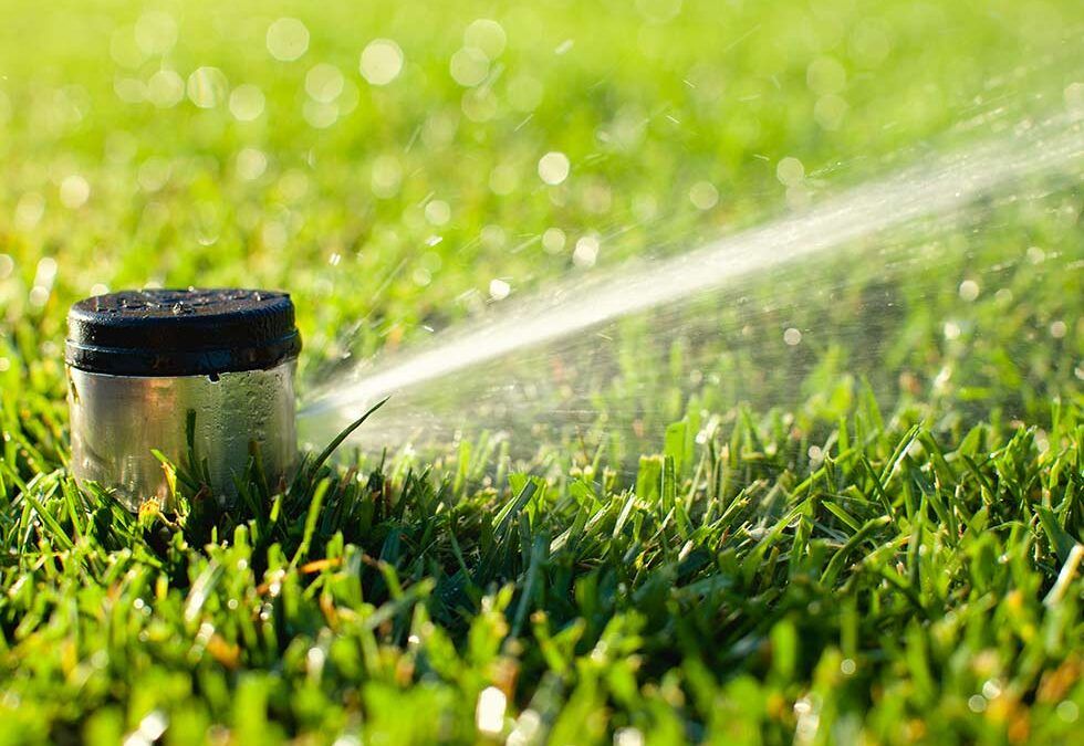 3. Protecting Your Yard with a Professional Irrigation System